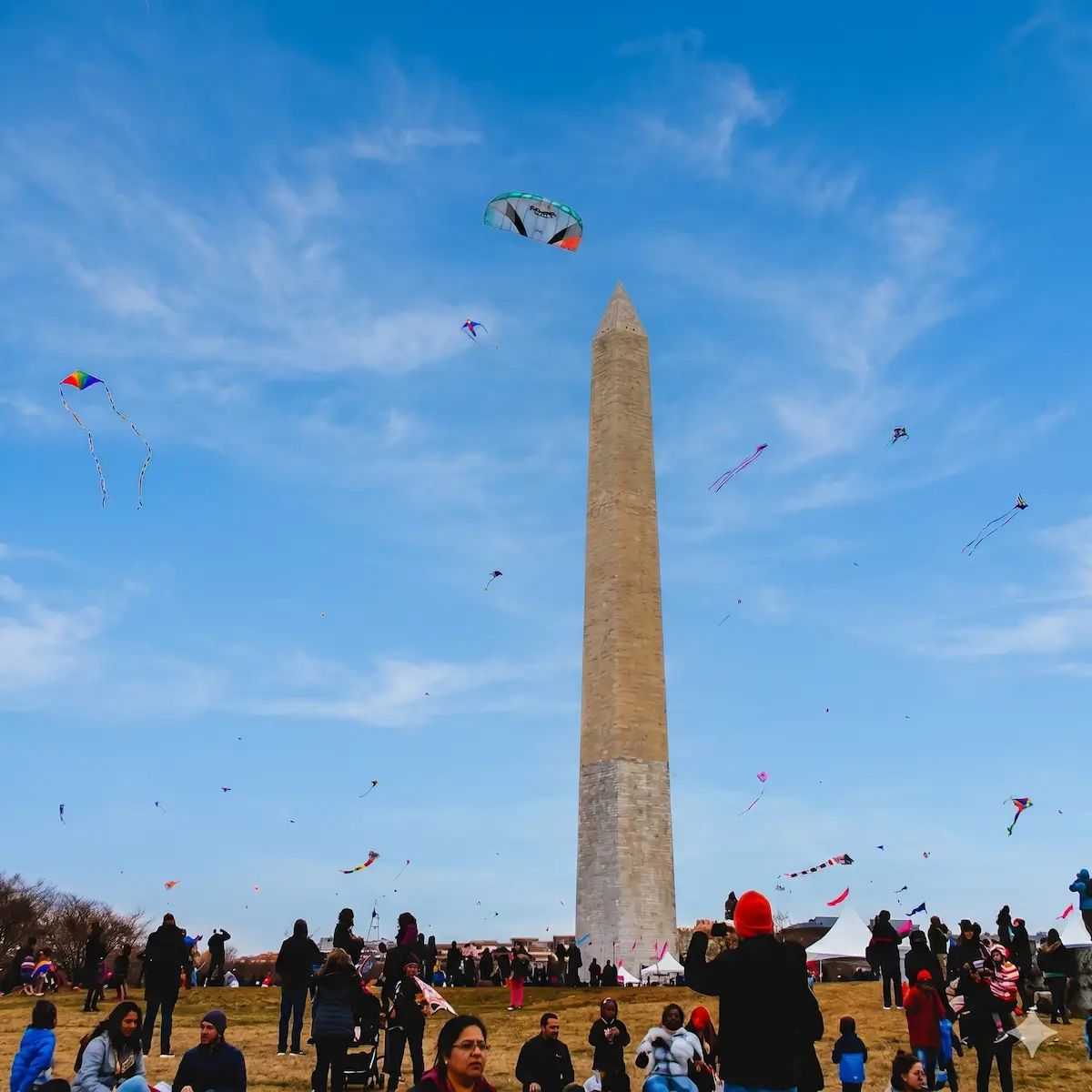 Numerous colorful kites fly in the bright blue sky surrounding the Washington Monument as a large crowd of people gathers on the grass below.